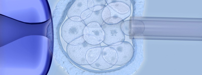 stem-cells-embryo-journal-harley-street-emporium