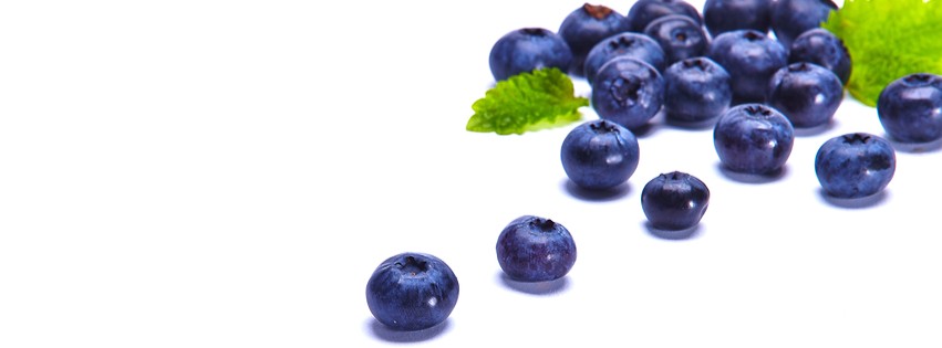 blueberries-superfoods-journal-harley-street-emporium