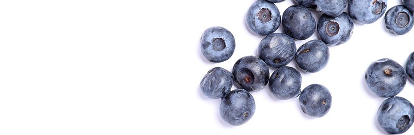 blueberries-for-healthy-skin-journal-harley-street-emporium