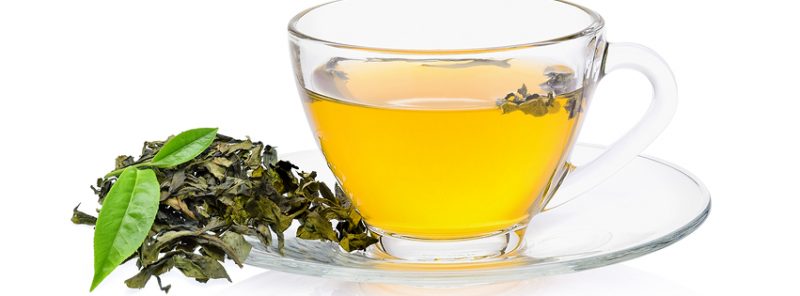 green-tea-flavonoids-journal-harley-street-emporium