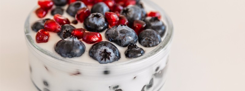 fruit-and-yoghurt-prebiotics-journal-harley-street-emporium