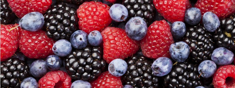 summer-fruits-berries-journal-harley-street-emporium